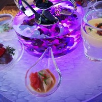 スミレオオサカ - 