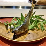 くろぎ - 若鮎の塩焼き