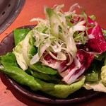 生粋 - 塩だれサラダ