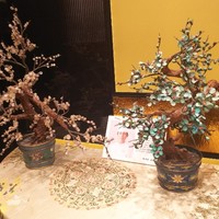 銀座アスター 新宿賓館  - 