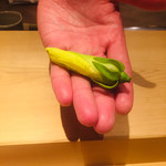 沼田 - 花オクラ