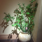 沼田 - 内観1：生花