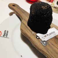 マルゴット エ バッチャーレ - 