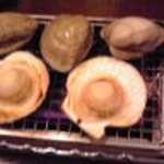 魚七鮮魚店 稲毛直売所 - ホタテ、ハマグリ