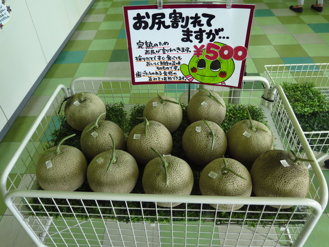 蒲郡オレンジパーク 蒲郡市観光協会