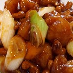 Yoen Hanten - 海老とカシューナッツとネギの唐辛子炒めアップ