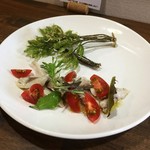 ナガタ店 - コシアブラのフリッターとたぶん鰺のカルパッチョ