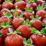 Karuizawa Garden Farm Ichigo En - 【夏秋いちご】爽やかなすずあかねの摘み取りです