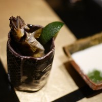 野嵯和 - 