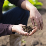 make soil