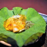 赤坂 渡なべ - 車エビ・秋田じゅんさい・帆立・雲丹　出汁ジュレ掛け