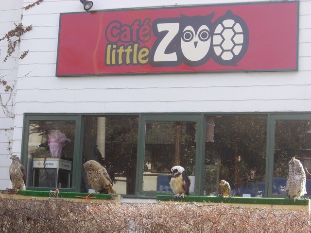Cafe Little Zooへ潜入 By Aki Shima カフェ リトルズー Caf E Little Zoo 京成大久保 カフェ 喫茶 その他 食べログ Cafe Little Zooへ潜入 By Aki Shima カフェ リトルズー Caf E Little Zoo 京成大久保 カフェ 喫茶 その他 食べログ