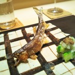 銀座 よし澤 - 焼き物　和歌山の若鮎の塩焼き