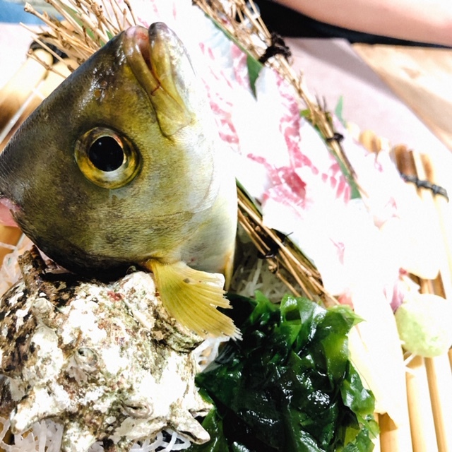 【閉店】海鮮問屋 丸長 和歌山インター店 田井ノ瀬/海鮮 食べログ 【閉店】海鮮問屋 丸長 和歌山インター店 田井ノ瀬/海鮮 食べログ