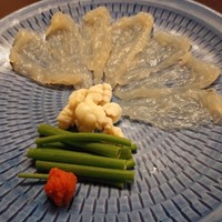 月亭 新宿本店 - ふぐ薄造り