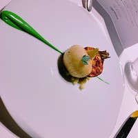 レフェルヴェソンス - 