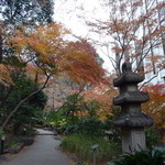 Sheratommiyakohoteru - 庭園