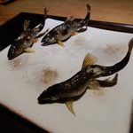 御料理 光安 - 安曇川の若鮎の炭火焼き