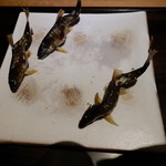 御料理 光安 - 安曇川の若鮎の炭火焼き