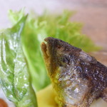 ビストロ セレニテ - 