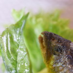 ビストロ セレニテ - 