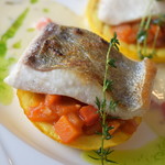 ビストロ セレニテ - 