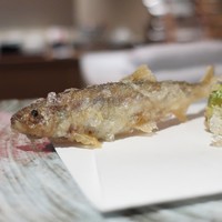 天ぷら うらかみ - 稚鮎