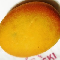 Russian Restaurant ROGOVSKI 銀座 - 肉ピロシキ