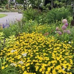 停車場ガーデン - 