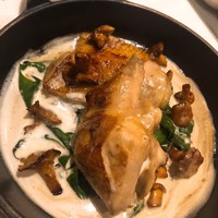 Benoit Alain Ducasse - 