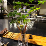 セララバアド - イケバナ　ハモン