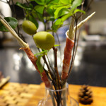 セララバアド - イケバナ　ハモン