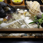 セララバアド - 海辺