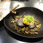 セララバアド - 海　森　循環