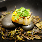 セララバアド - 海　森　循環