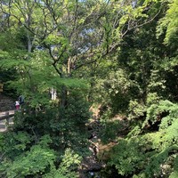 一汁ニ菜 うえの 箕面店 - 