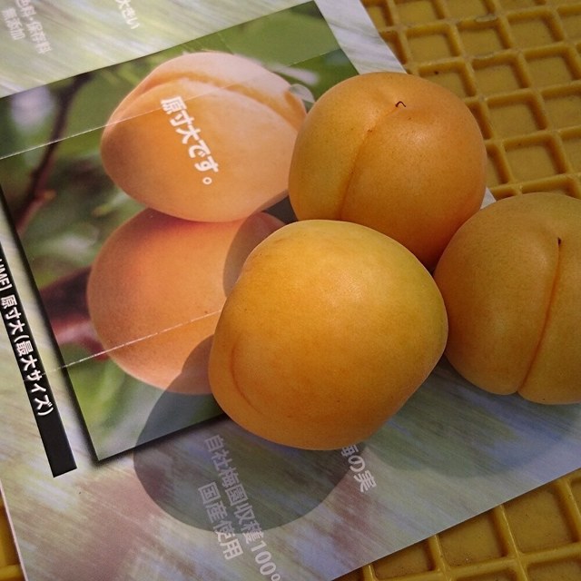 梅菓子本舗松野屋 - さくらんぼ東根（和菓子）の写真