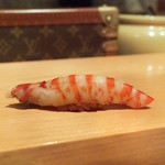 鮨 尚充 - 車えび