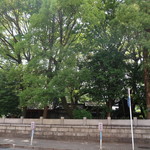 yakitoriizakayashinchan - 椿神社の向かいにございます！