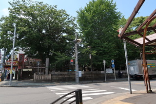 yakitoriizakayashinchan - 『椿神社前』を右折してください！