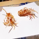 にい留 - 脚から