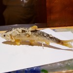 にい留 - 青年鮎