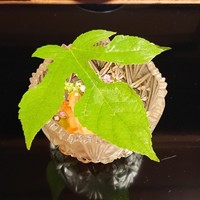 京都 三条 やま平 - 