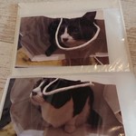 キッチン花吉 - 花ちゃん紙袋に入ってますねぇ