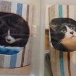 キッチン花吉 - 花ちゃん