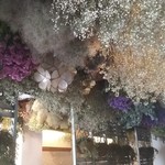 マハロ大人の隠れ家 大名店