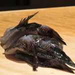 にい留 - ウロハゼ