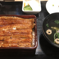 うなぎ 目白ぞろ芽 - 