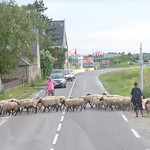 TOTAL - 高速を下りると、ノルマンディーののどかな風景が