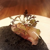 ル スプートニク - 